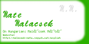 mate malacsek business card